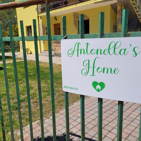 Antonella'S Home Cavallino-Treporti Εξωτερικό φωτογραφία